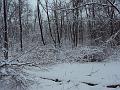2010 012